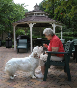 PETS-Glassberg-with-dog