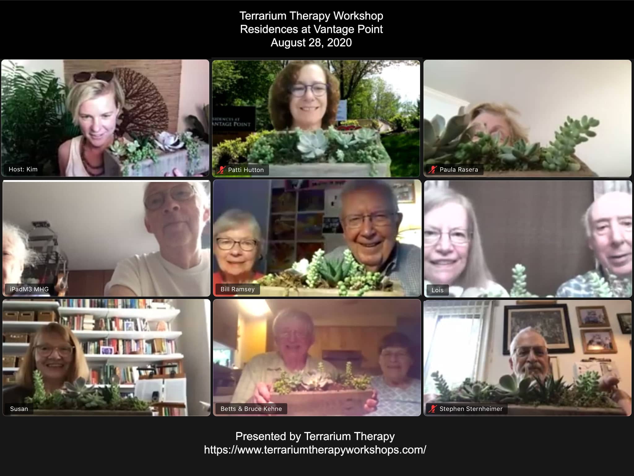 Virtual Terrarium Therapy workshop