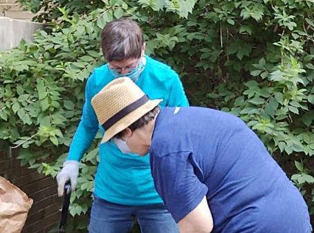 Volunteers planting Irises