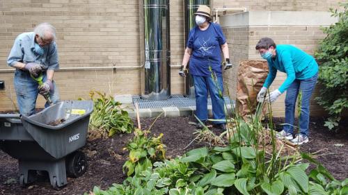 Volunteers team gardening