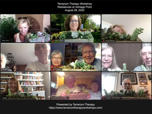 Terrarium Therapy Virtual Workshop and Socialization